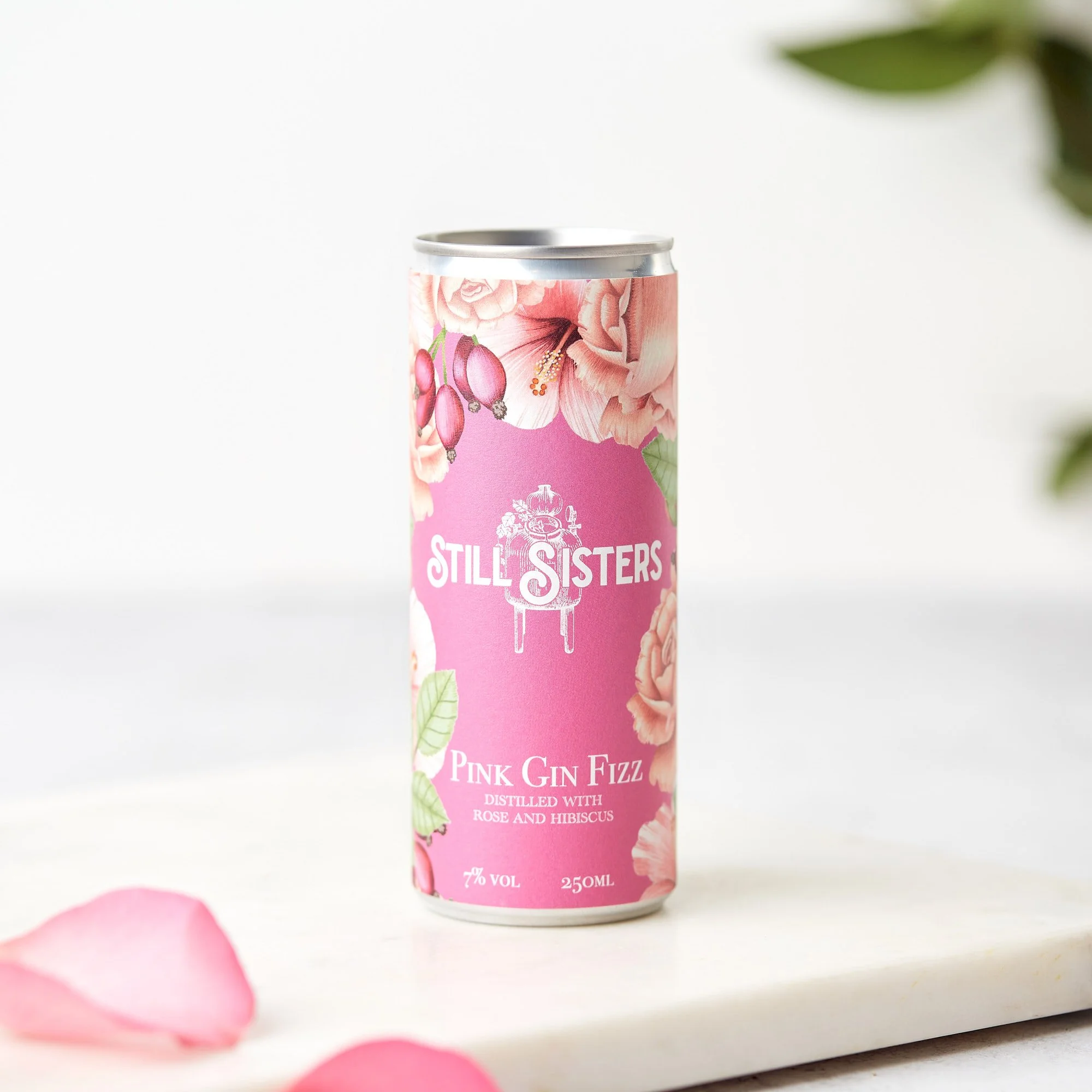 Somerset Cider Apple Gin & Tonic Pack of 4 — Still Sisters